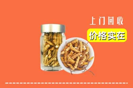 收购资讯:鹤壁淇县回收散虫草